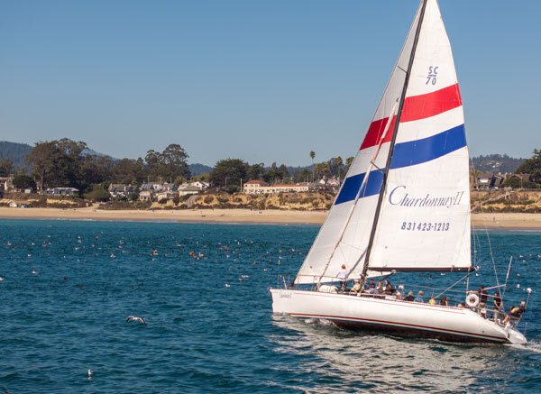 Sailing on Chardonnay