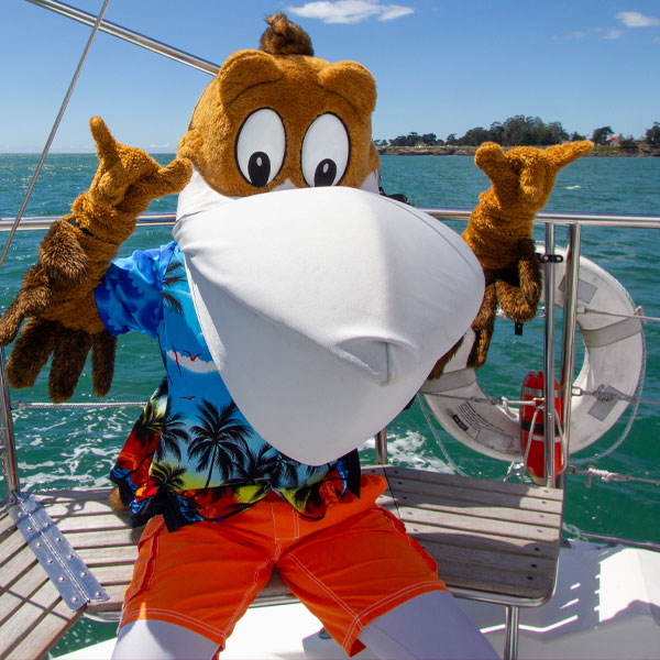 Halloween Themed Sail